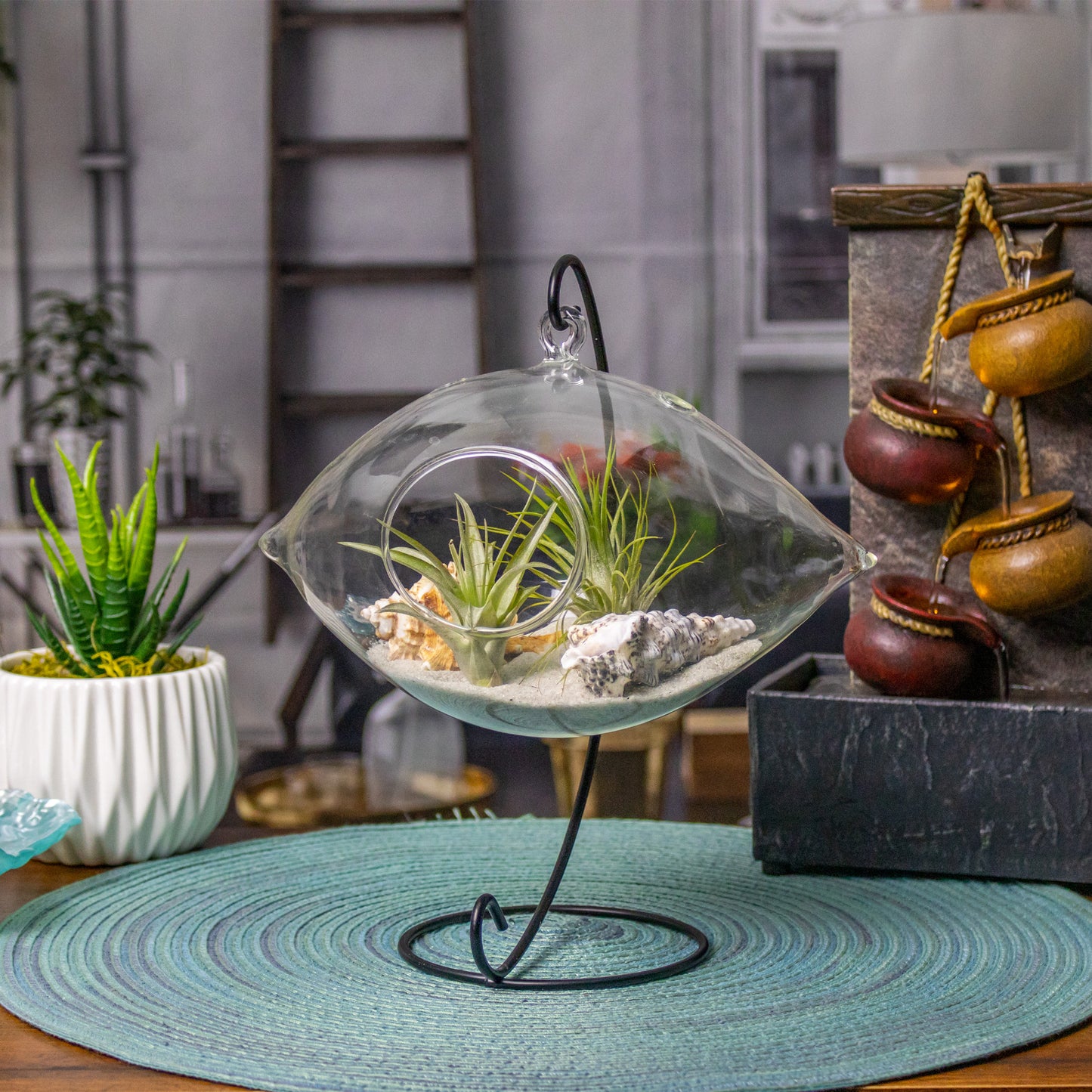 Hanging Air Plant Terrarium with Sea Shells