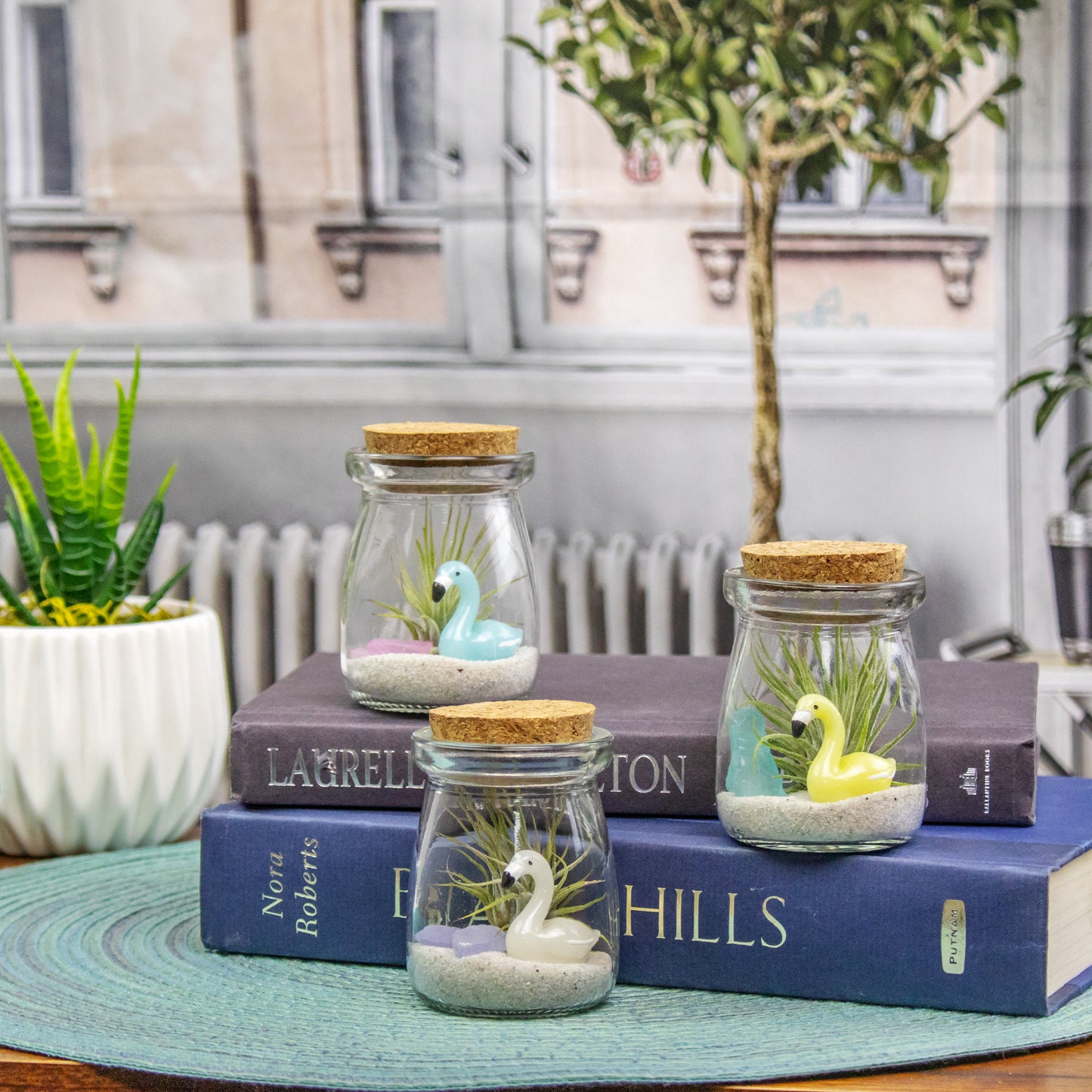 Mini Mixed Flamingo Air Plant Terrarium - Set of 12