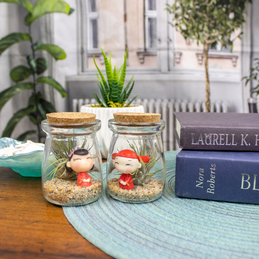 Mini Mixed Boy/Girl Air Plant Terrarium - Set of 12