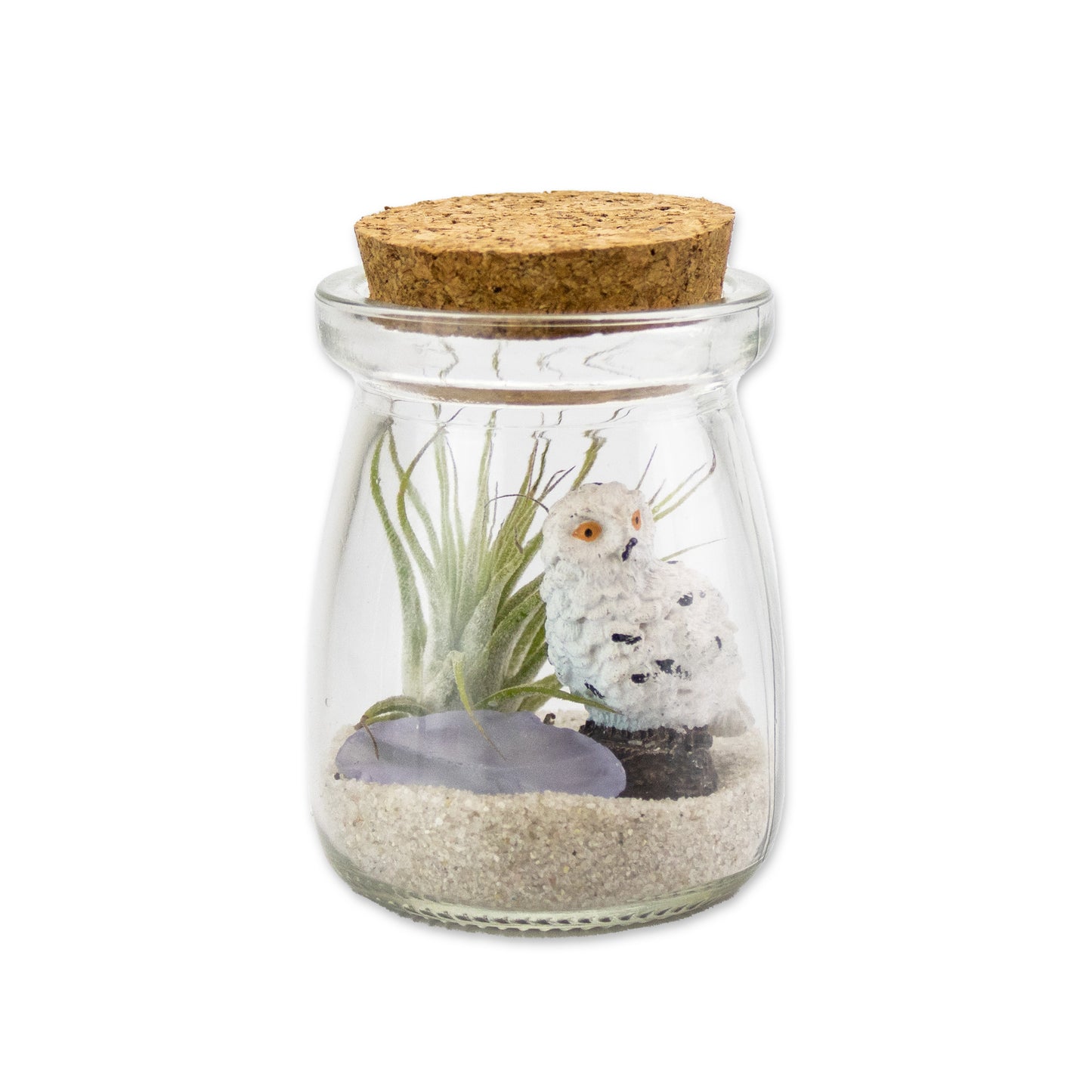 Mini Air Plant Terrarium with Animal Accent Figurine - Set of 12