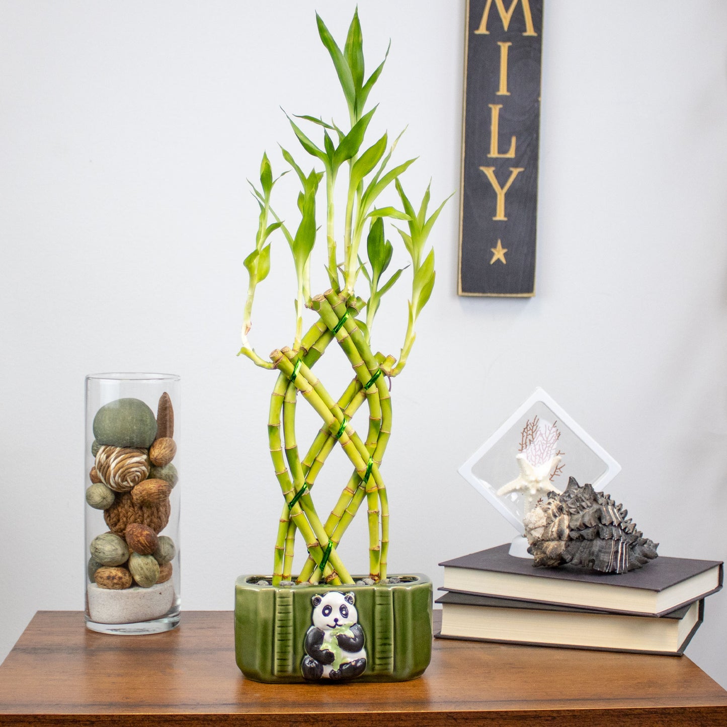 8-Stalk Trellis Lucky Bamboo Arrangement