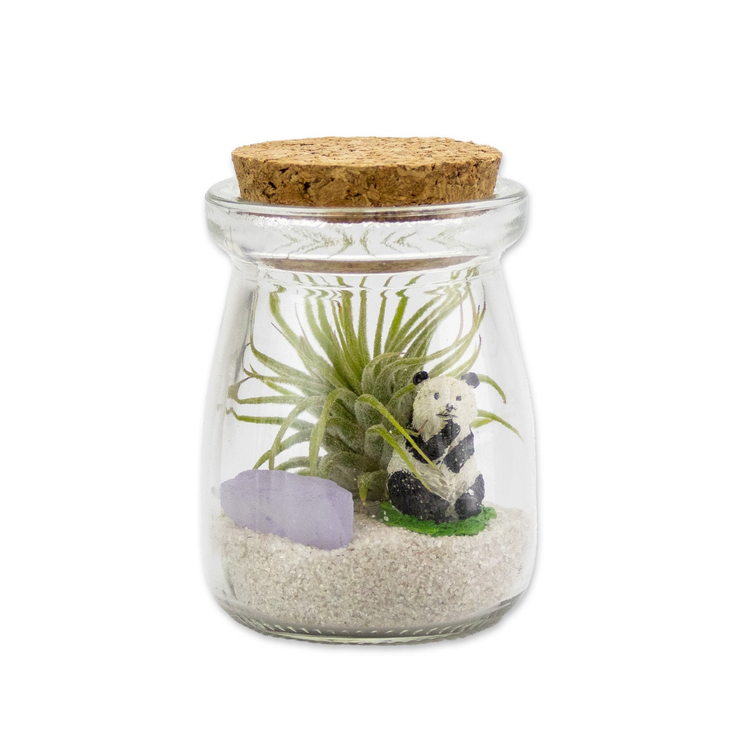 Mini Air Plant Terrarium with Animal Accent Figurine - Set of 12