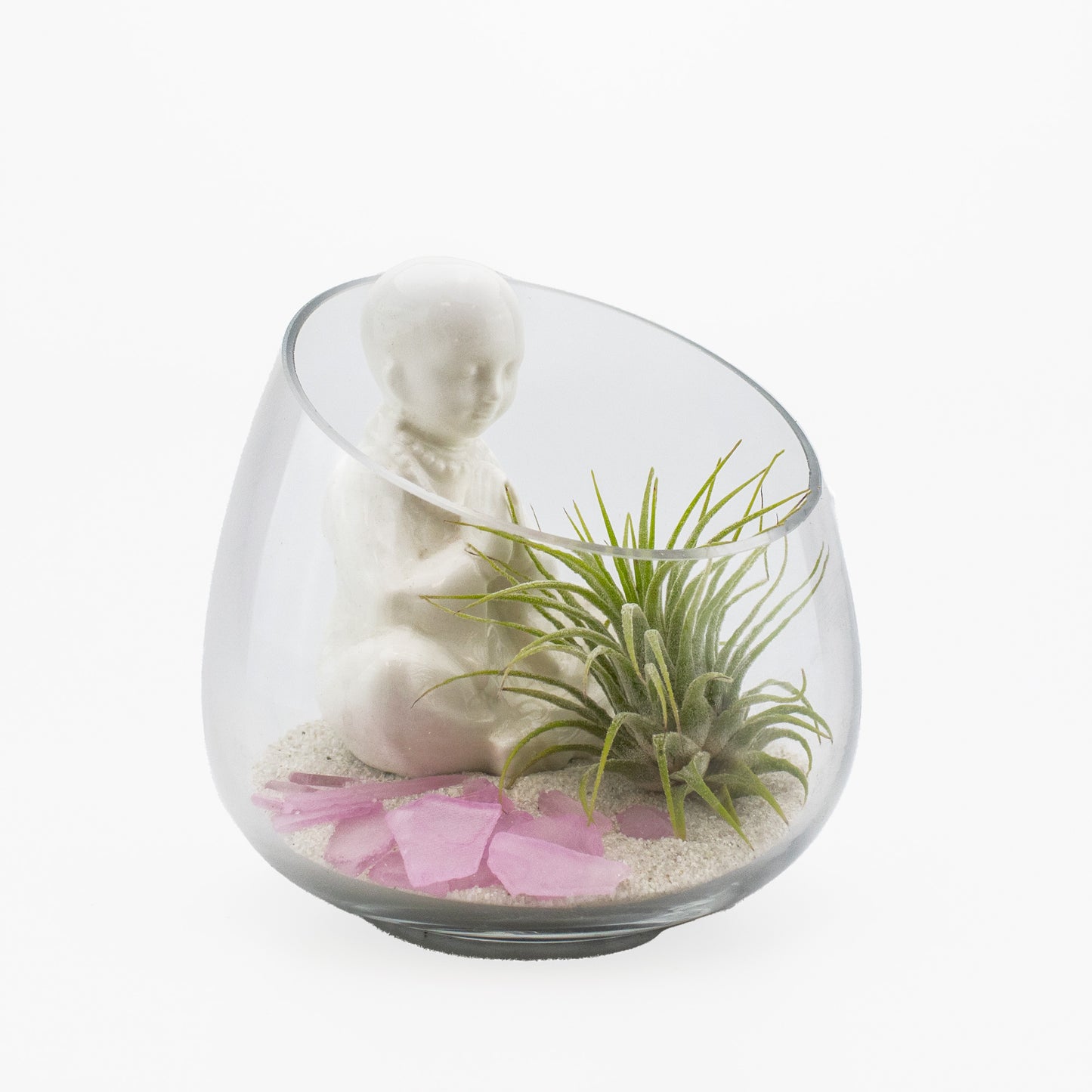 Set of 24 - ZEN Buddha Garden Display with Air Plant Arrangement