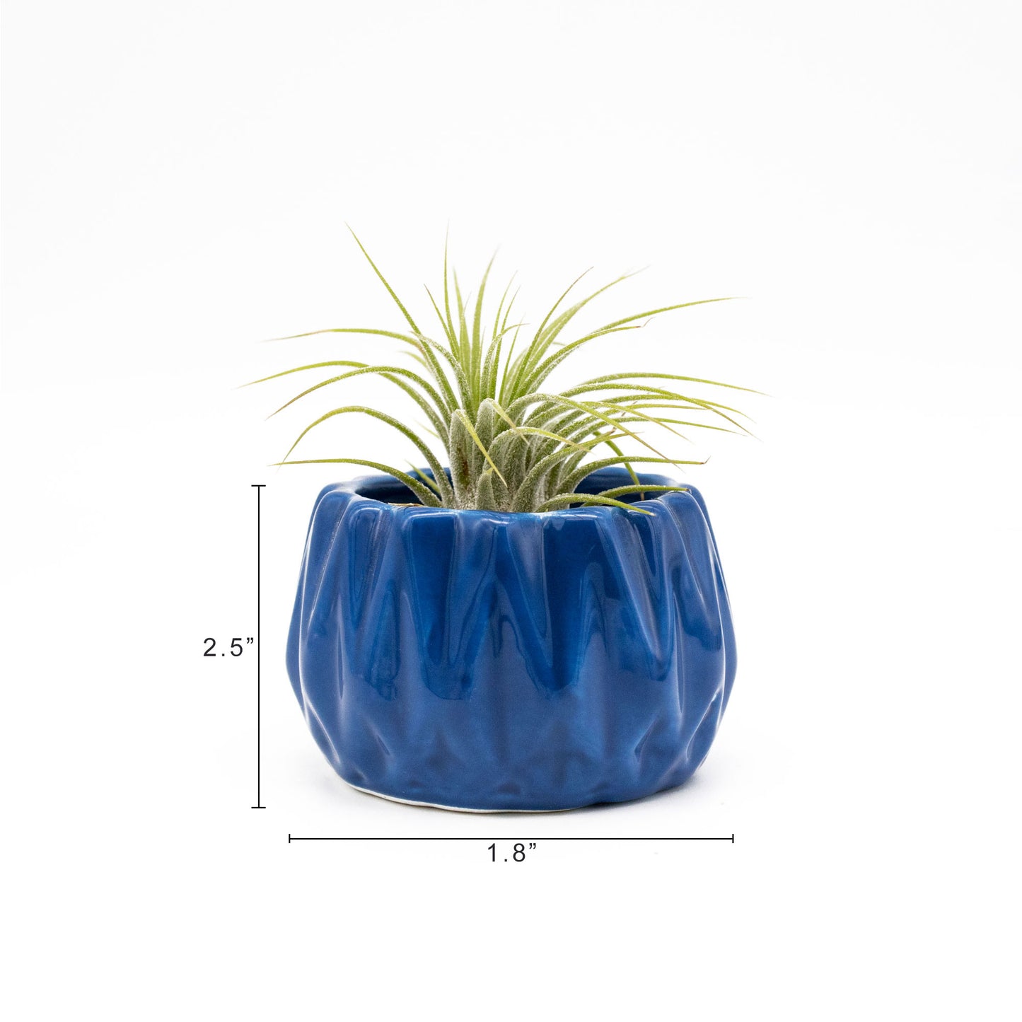 Small Ceramic Glazed Round Planter Vase