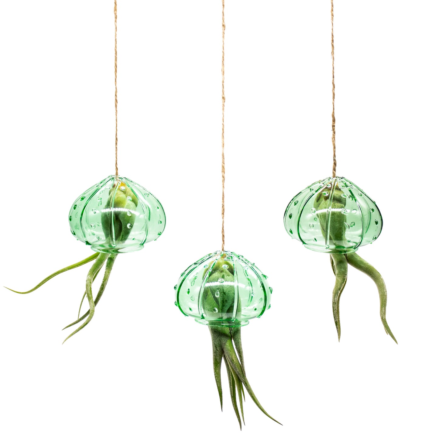 Set of 3 Hanging Glass Sea Urchin Jellyfish Arrangement