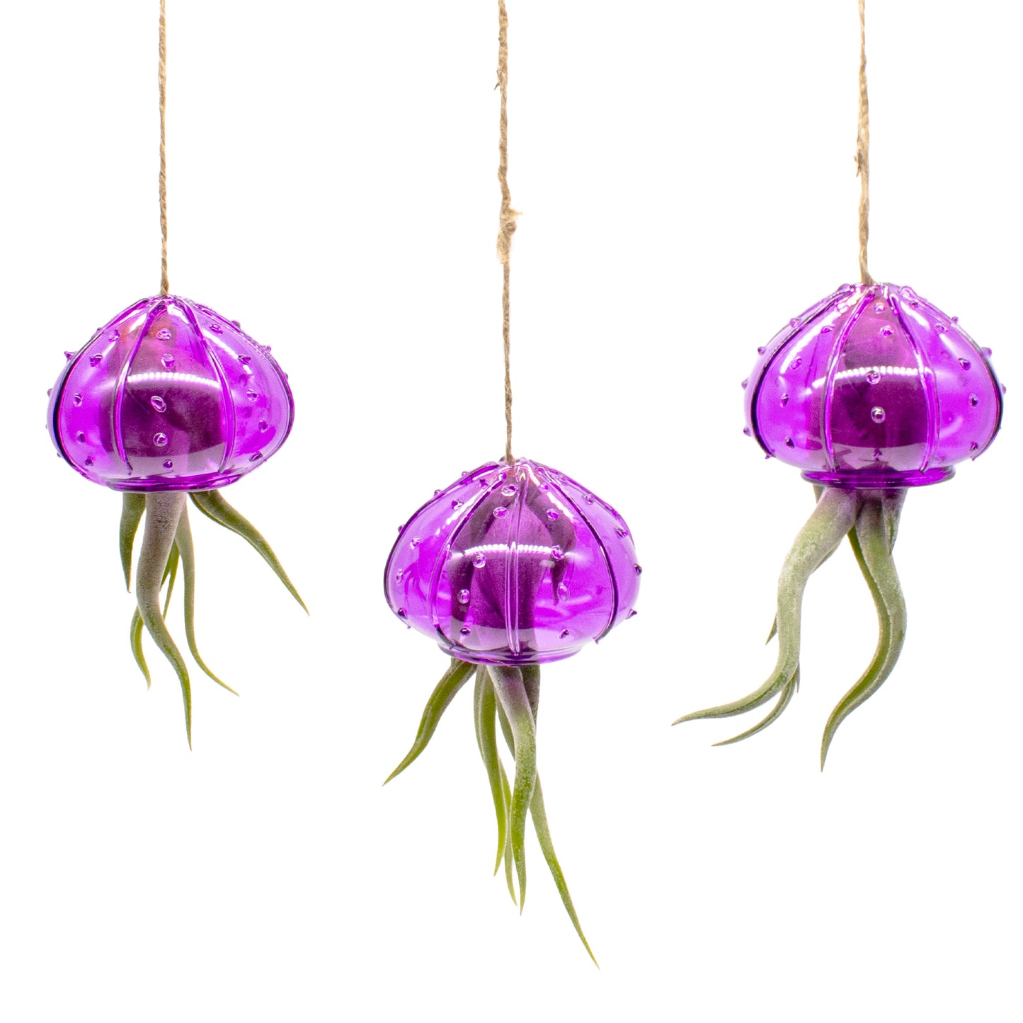 Set of 3 Hanging Glass Sea Urchin Jellyfish Arrangement