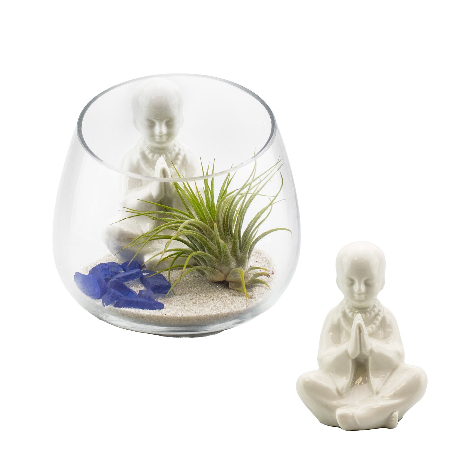 Set of 24 - ZEN Buddha Garden Display with Air Plant Arrangement