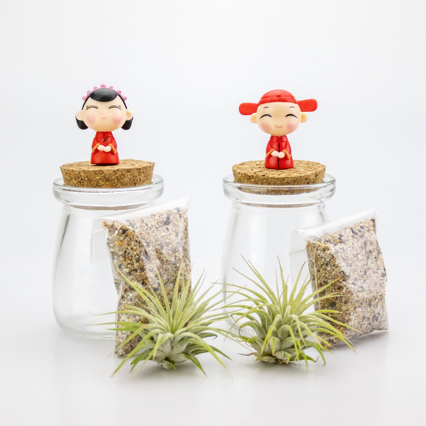 Mini Mixed Boy/Girl Air Plant Terrarium - Set of 12