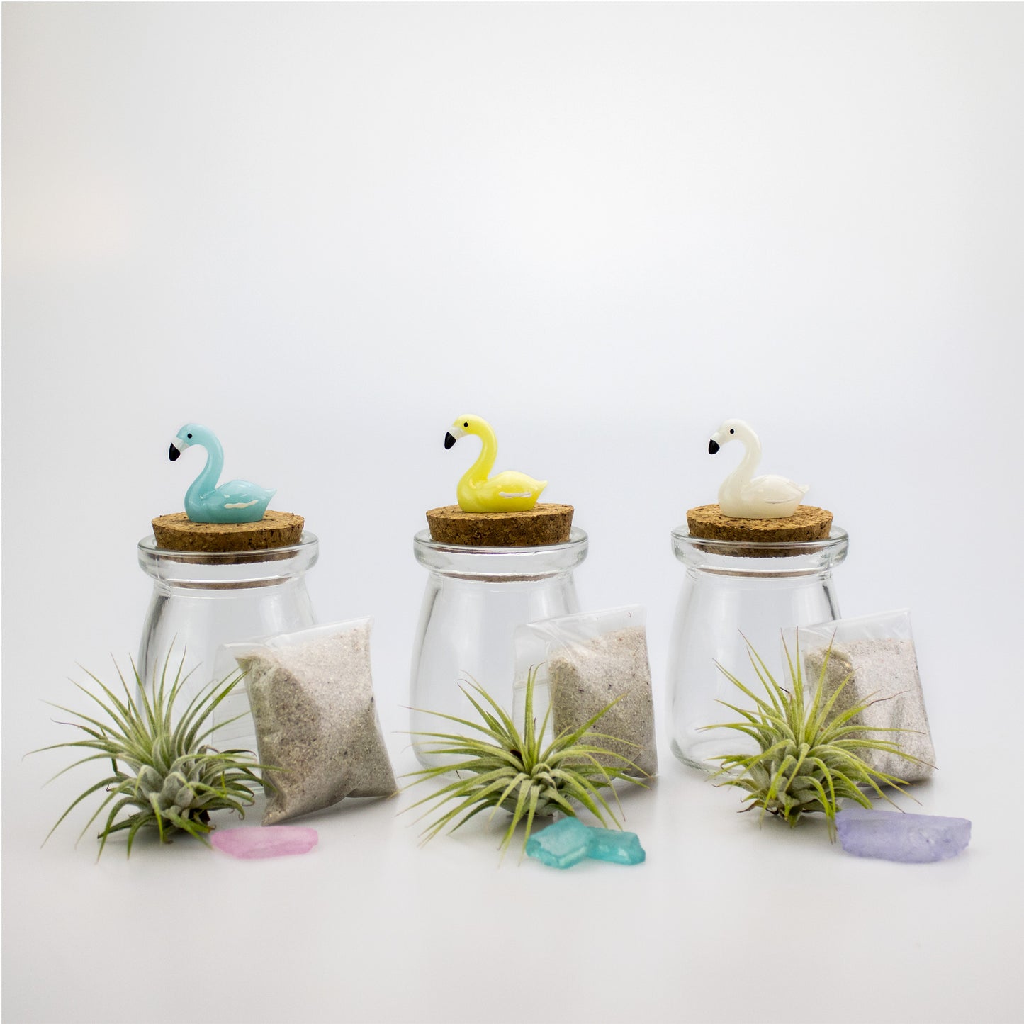 Mini Mixed Flamingo Air Plant Terrarium - Set of 12