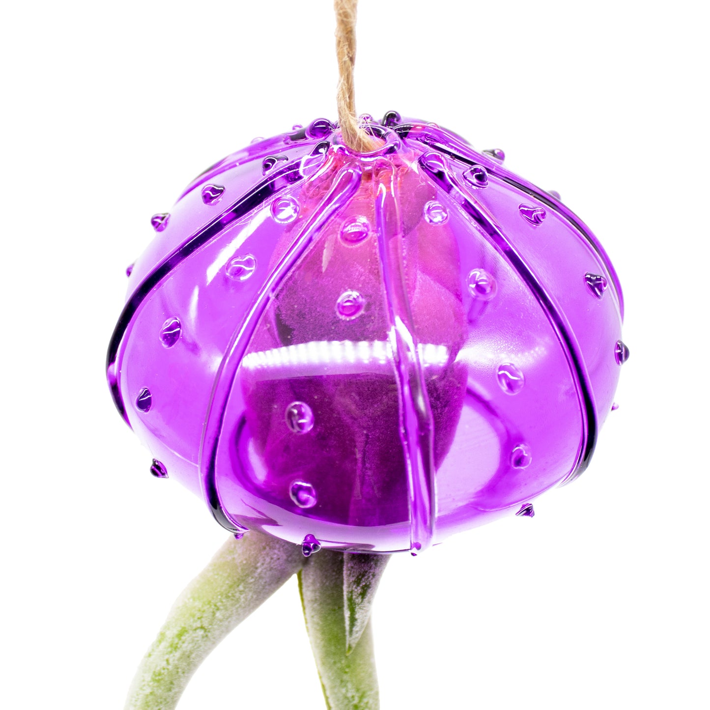 Set of 3 Hanging Glass Sea Urchin Jellyfish Arrangement