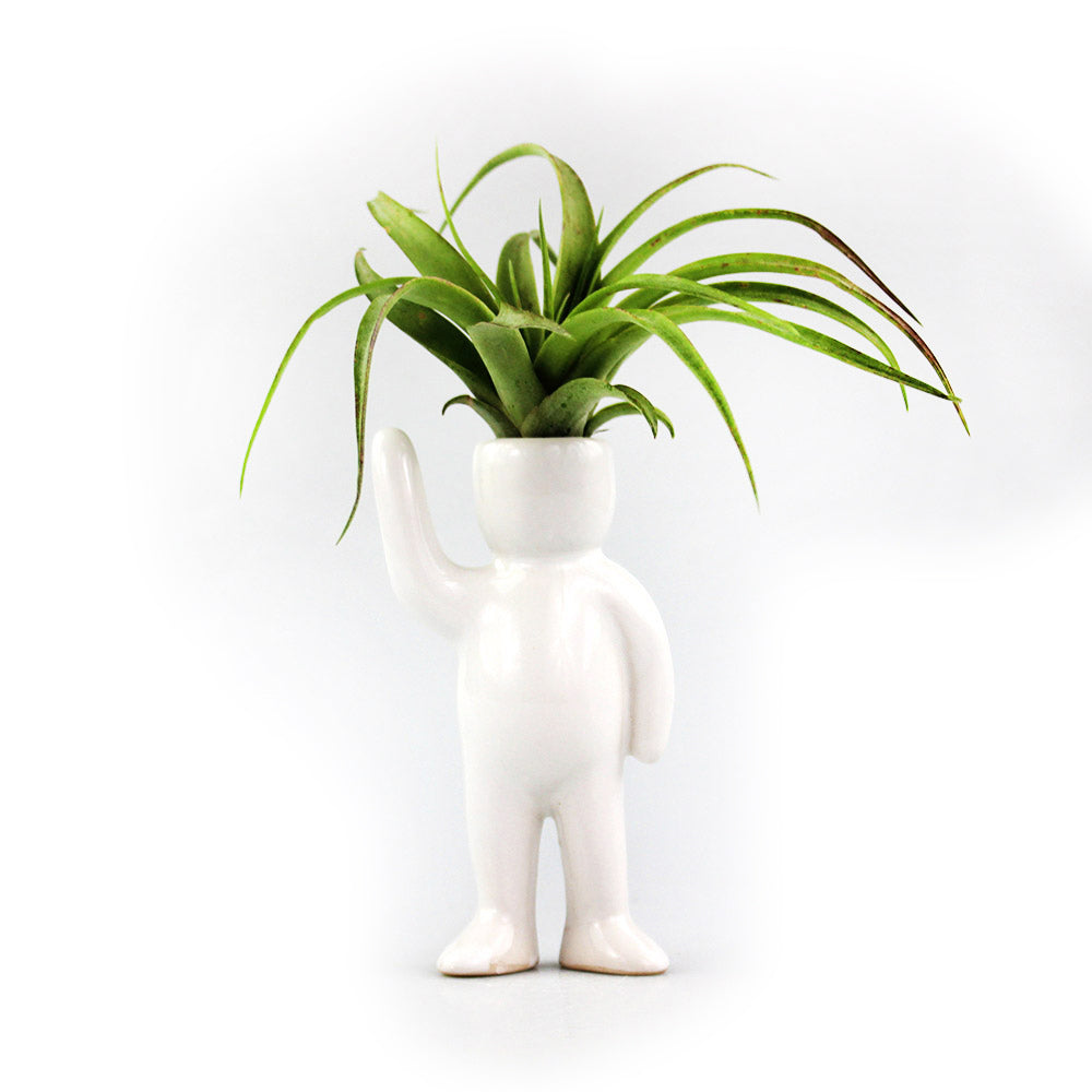 "Greeting Person" Air Head White Ceramic Pot - Air Plant Holder, Succulent, Cactus Planter