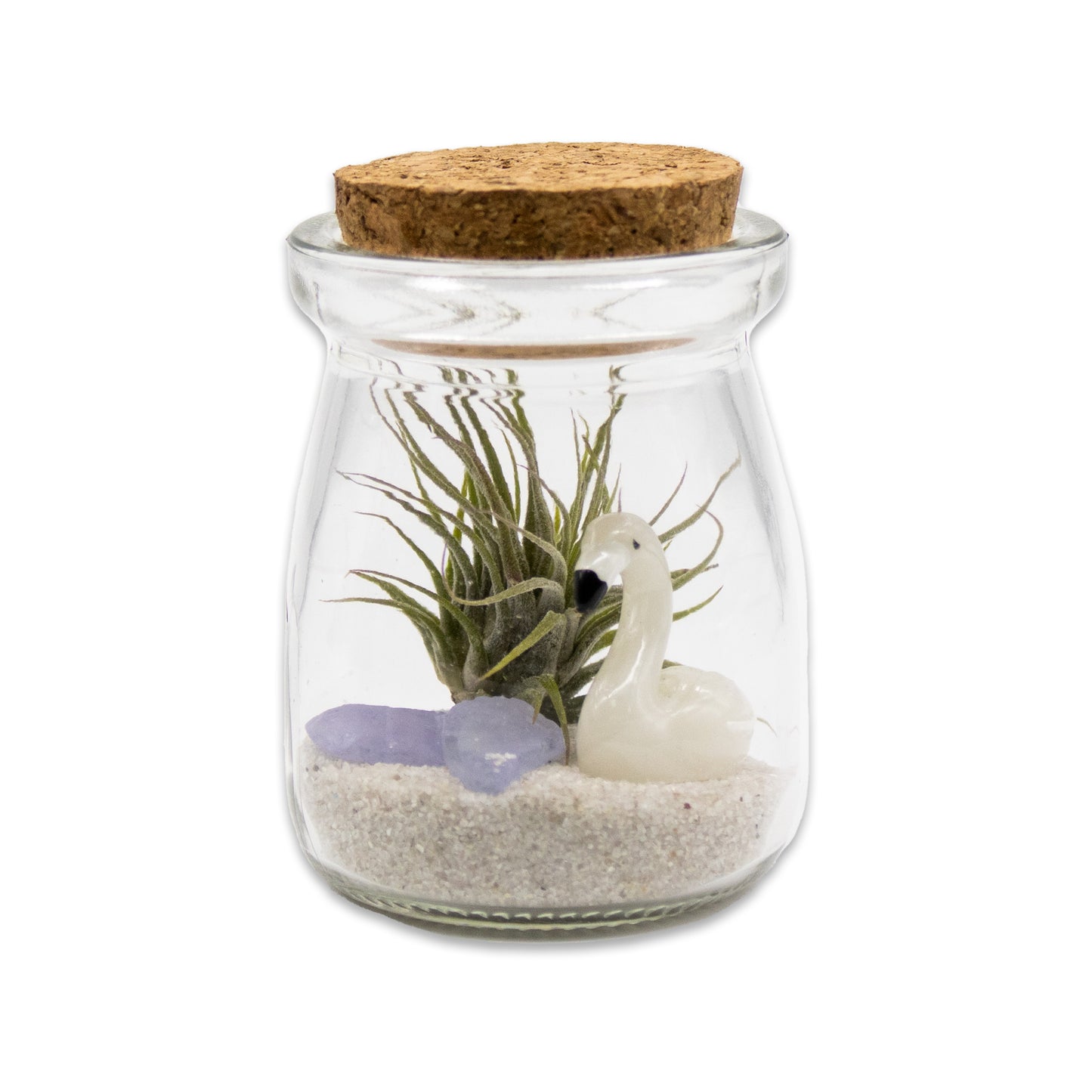Mini Mixed Flamingo Air Plant Terrarium - Set of 12