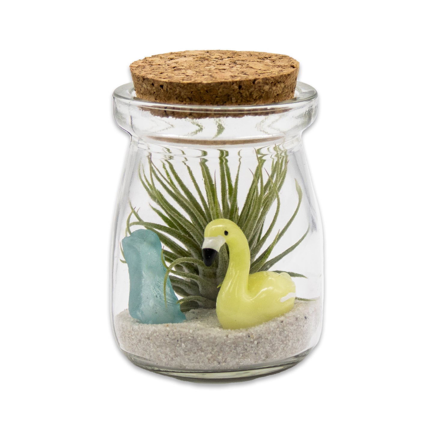 Mini Mixed Flamingo Air Plant Terrarium - Set of 12