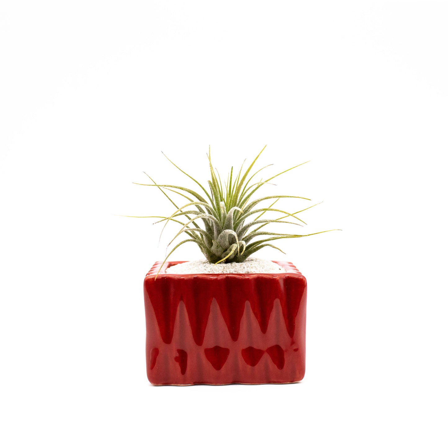 Set of 12 or 24 Square Ceramic Glazed Small Planter Vase