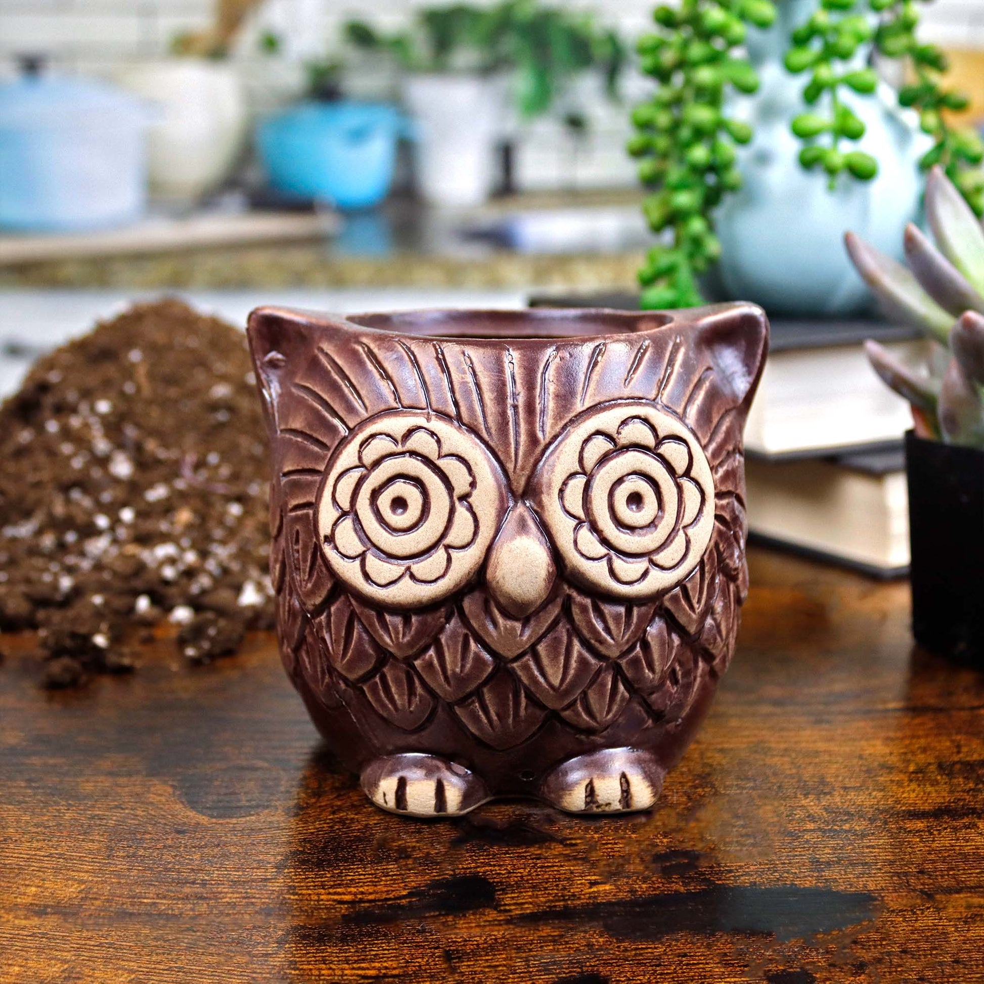 owl succulent pots Brown Ceramic Owl Planter Pot with Cacti, Succulents and Small Plants – NW Wholesaler