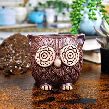 Brown Ceramic Owl Succulent Planter Pot with Drainage
