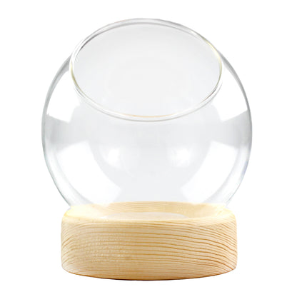 Craft Supply Terrarium Plastic Clear Dome with Wood Base - DIY Crafts - 4.5  Inches Tall