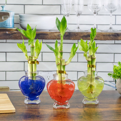 3 Stalk Arrangement in Glass Heart Vase & Colored Sea Glass