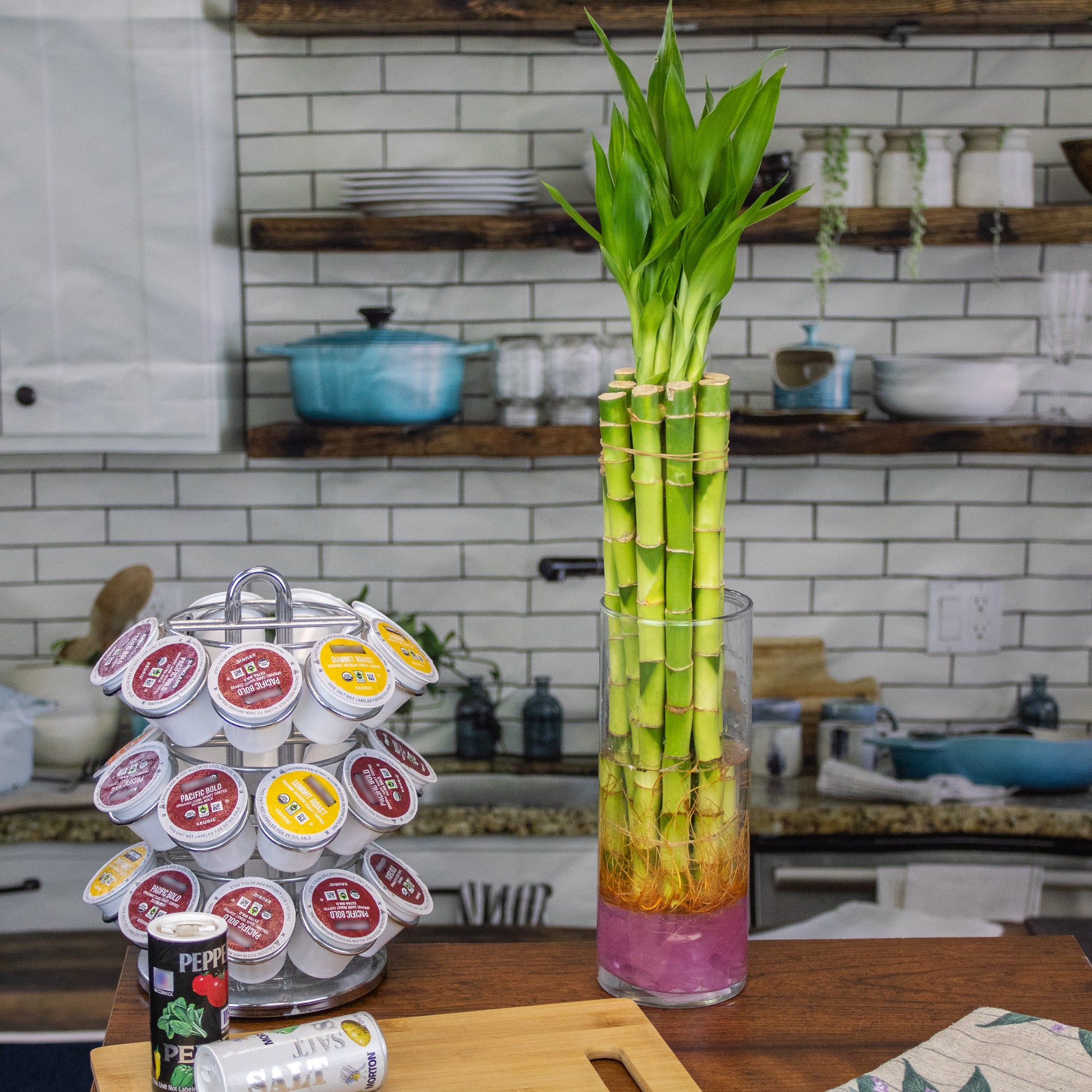 where to buy lucky bamboo stalks Wholesale bundles of 12 Inch Straight Lucky Bamboo Stalks