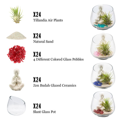 air plant zen garden Set of 24