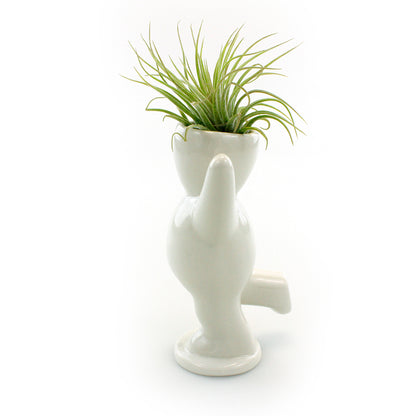 "Happy Cheering Person" Air Head Complete Kit With Live Air Plant