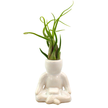 "Meditation Person" Air Head White Ceramic Pot - Air Plant Holder, Succulent, Cactus Planter