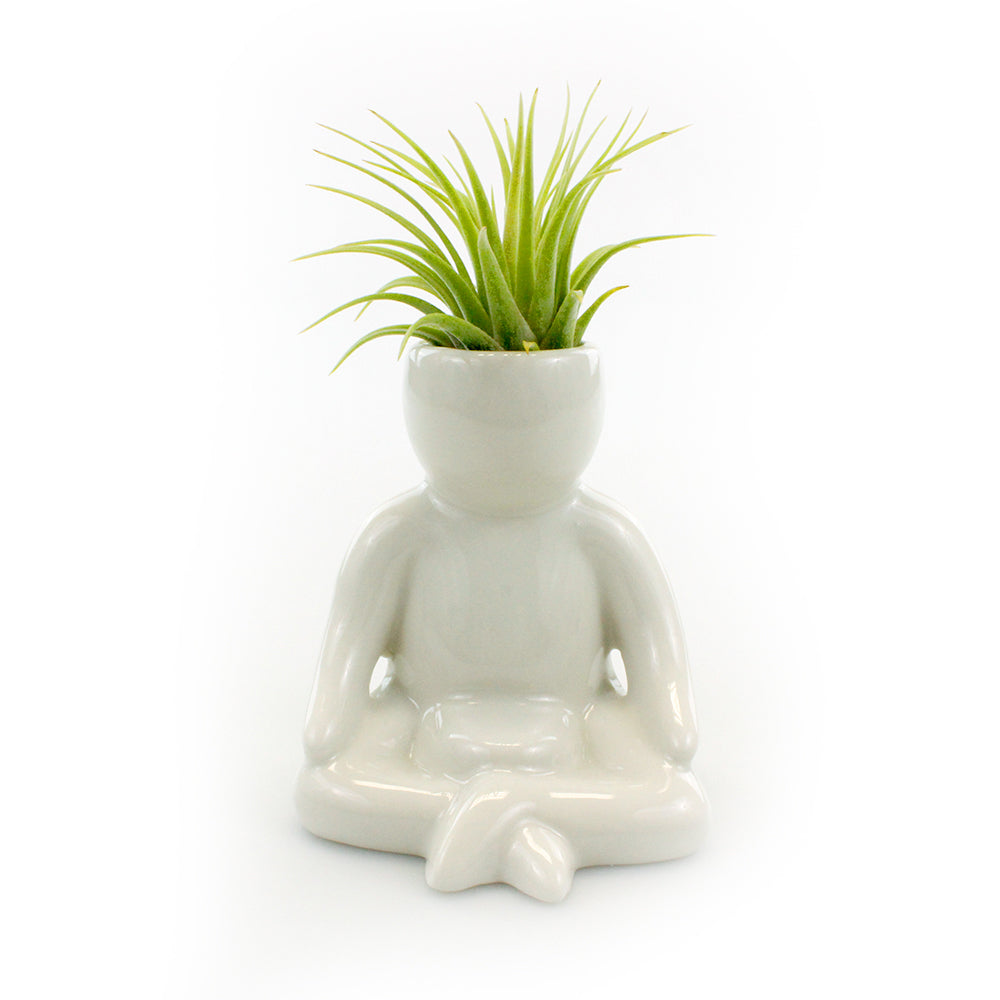 "Meditation Person" Air Head Complete Kit With Live Air Plant