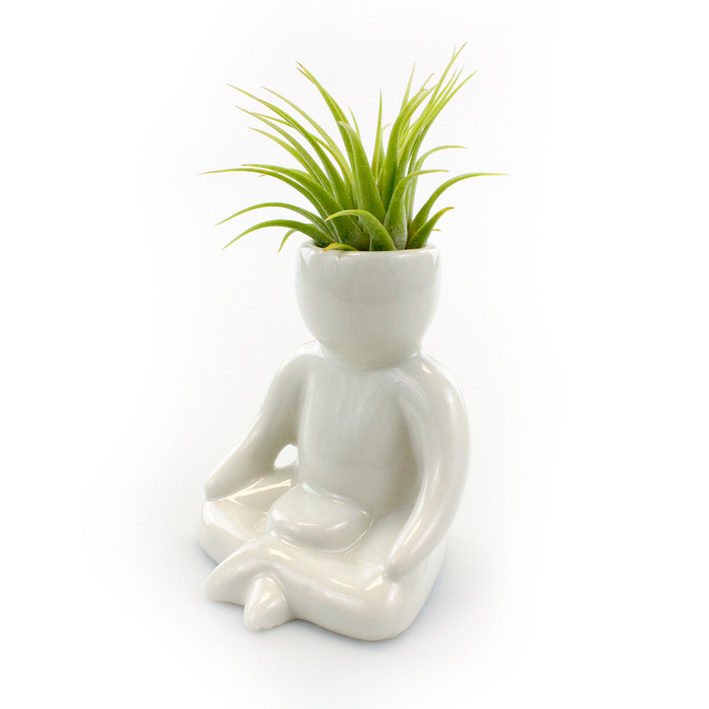 "Meditation Person" Air Head Complete Kit With Live Air Plant