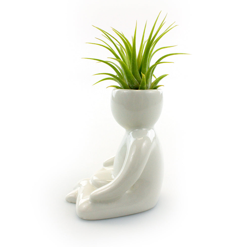 "Meditation Person" Air Head Complete Kit With Live Air Plant