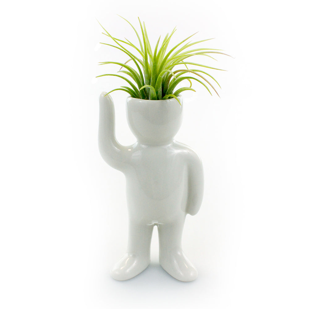 "Greeting Person" Air Head Complete Kit With Live Air Plant