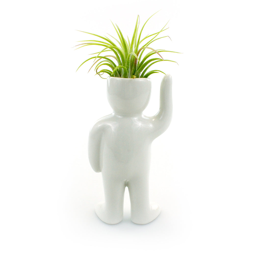 "Greeting Person" Air Head Complete Kit With Live Air Plant