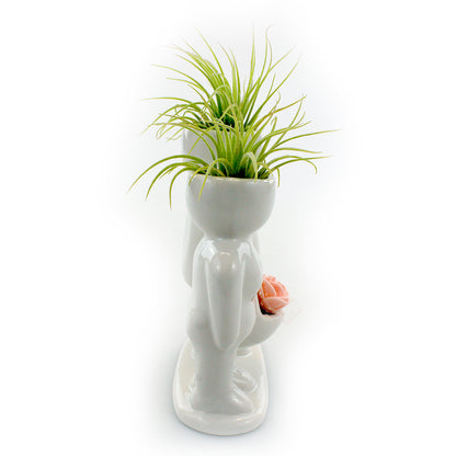 "Couple Carrying Basket" Air Head Complete Kit With Live Air Plant