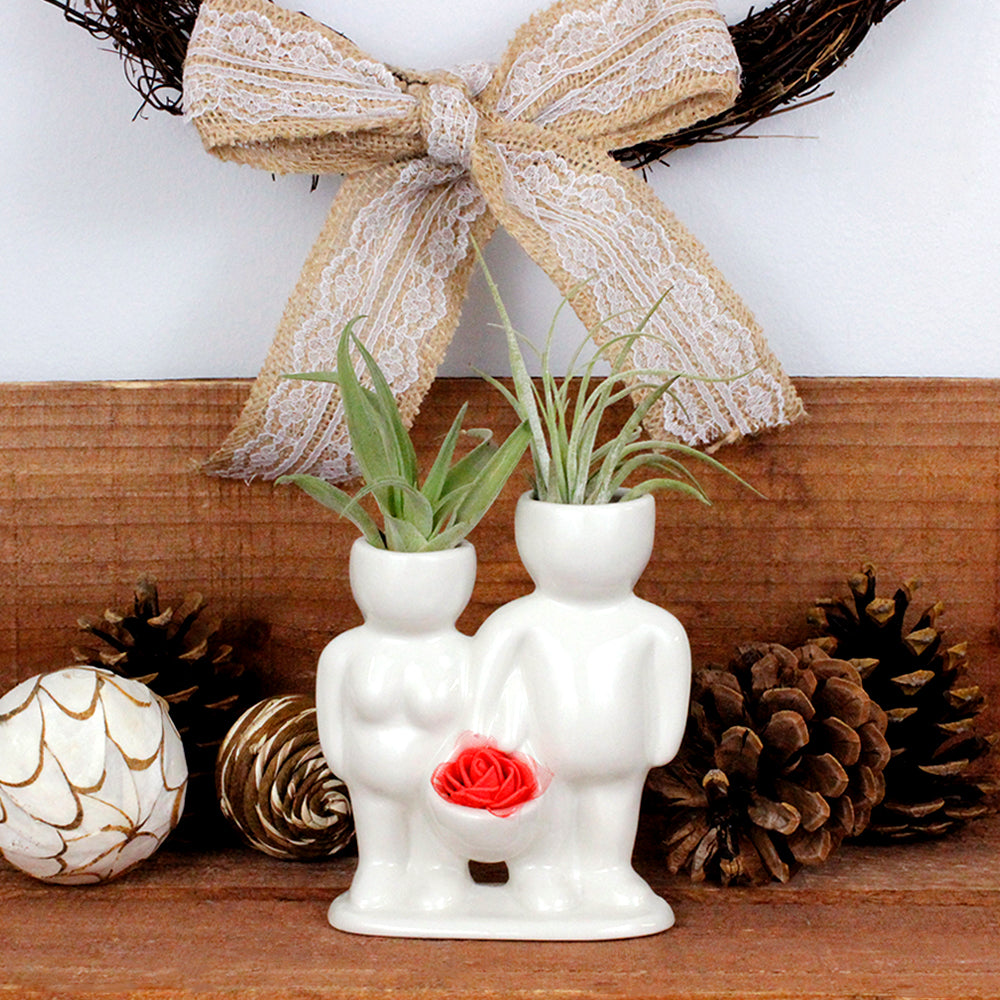 "Wedding Couple" Air Head White Ceramic Pot - Air Plant Holder, Succulent, Cactus Planter