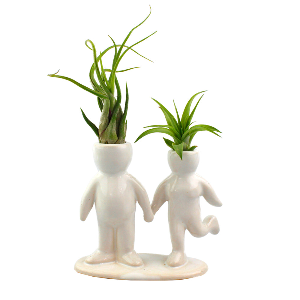 "Happy Couple" Air Head White Ceramic Pot - Air Plant Holder, Succulent, Cactus Planter