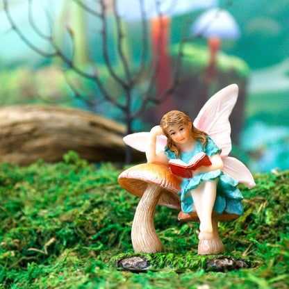 Reading Fairy