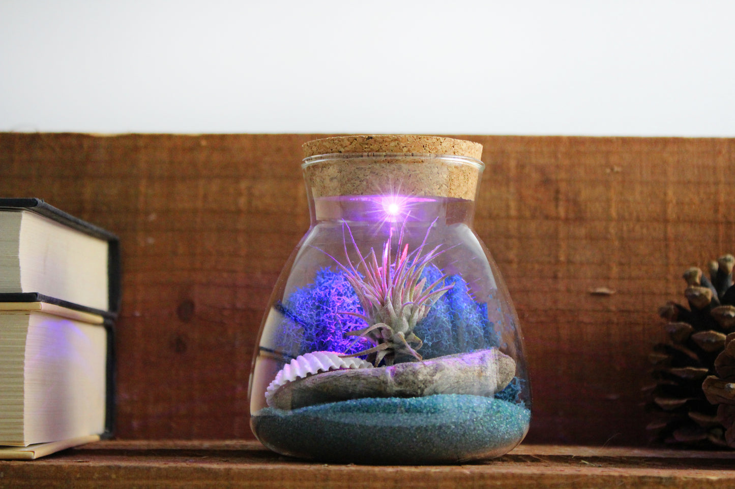 Glass Terrarium w/ LED Lighted Cork