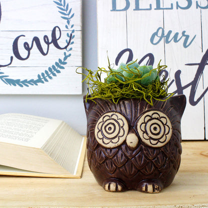Brown Ceramic Owl Succulent Planter Pot with Drainage