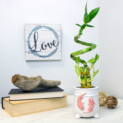 5 lucky bamboo Five Stalk Lucky bamboo Arrangement with Center Spiral Stalk – NW Wholesaler