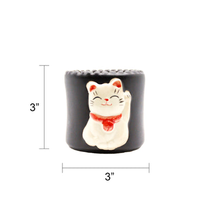 Three Stalk Lucky Bamboo with Round Maneki Cat Pot