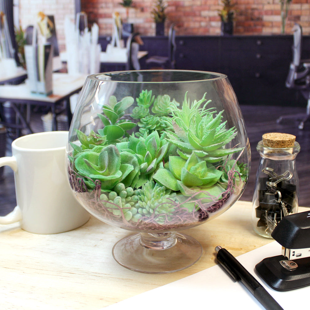 Faux Succulent Arrangement Kit with Glass Pedestal Vase - "Cool Meadow"
