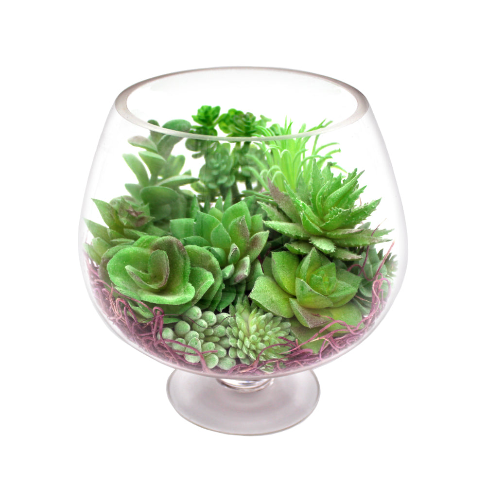 Faux Succulent Arrangement Kit with Glass Pedestal Vase - "Cool Meadow"