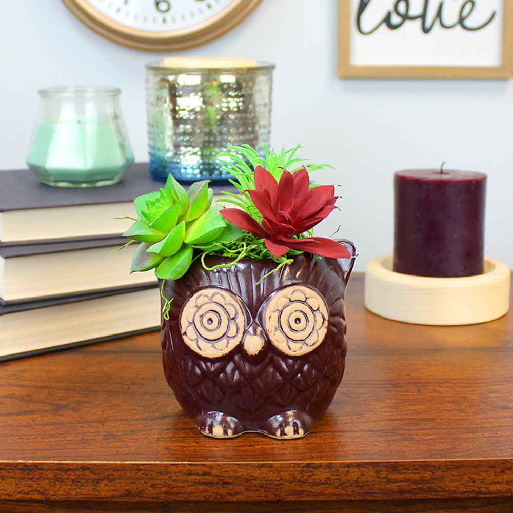 Small Brown Ceramic  Owl Planter with Faux Succulents