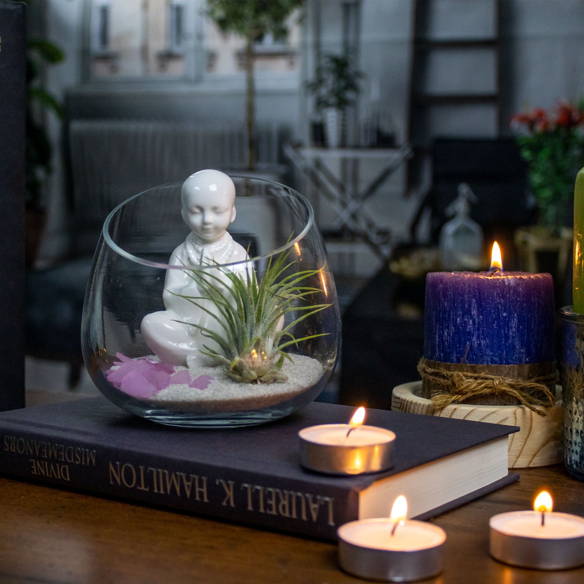 zen glass air plant sculptures Set of 24