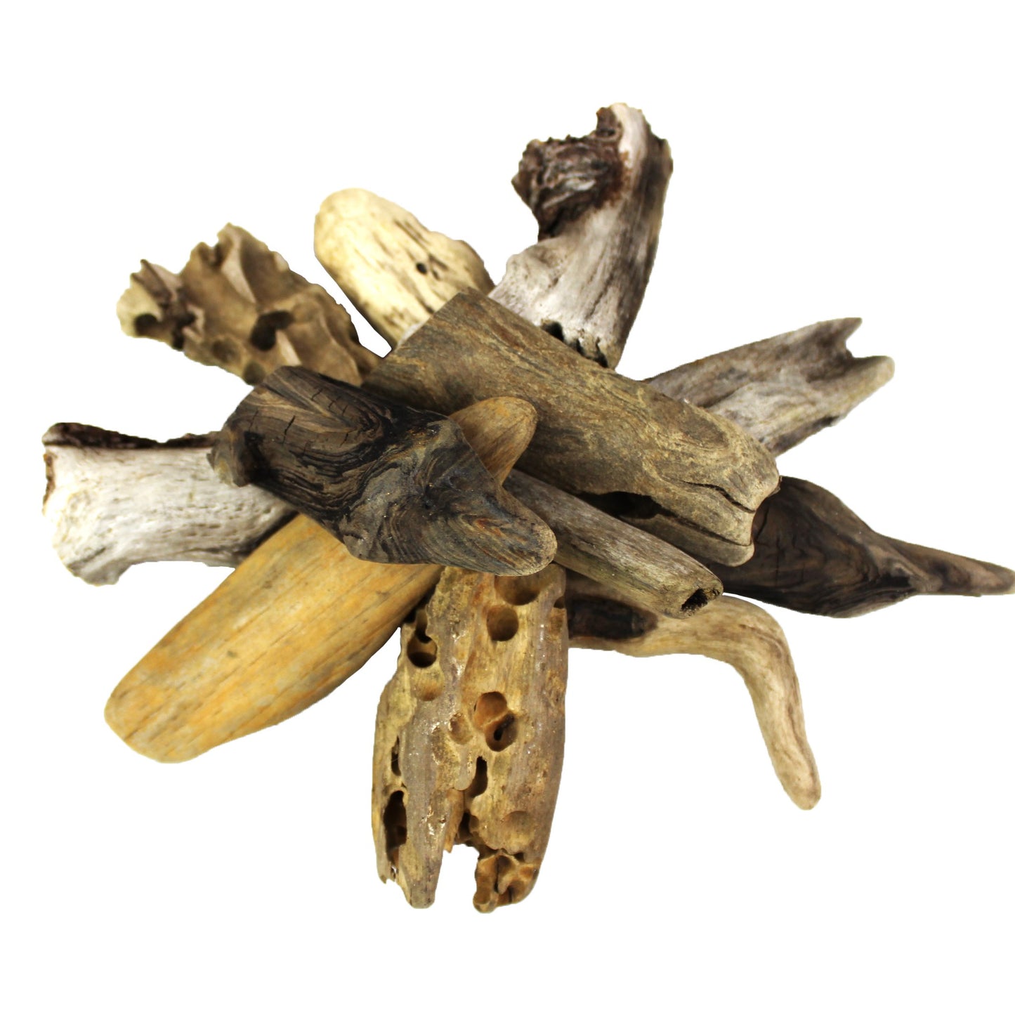 Natural Pacific Coast Small Driftwood (2-4")