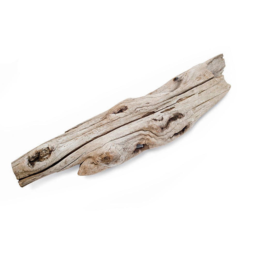 Natural Pacific Coast Driftwood Pieces, 46" Handpicked NW Wholesaler