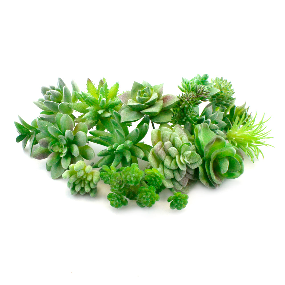 16 Pcs Artificial Succulents