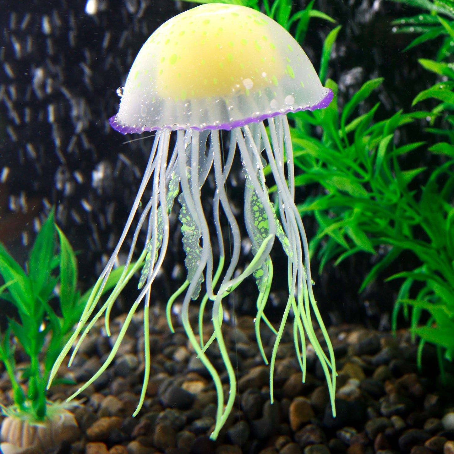 Jellyfish for Fish Tanks, Aquariums, and Fish Bowls - Multiple Colors