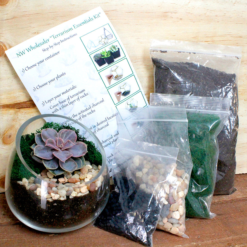 Terrarium Essentials Kit Succulent Potting Kit NW Wholesaler