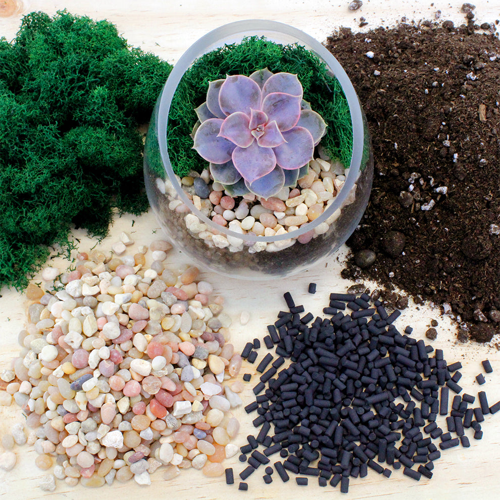 Terrarium Essentials Kit - Succulent Potting Kit - NW Wholesaler