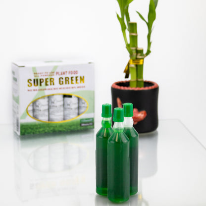 fertilizer for lucky bamboo plants Super Green Lucky Bamboo Fertilizer